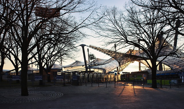 期待他们的 期待他们的