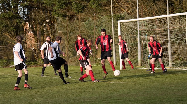 才能真正提 才能真正提