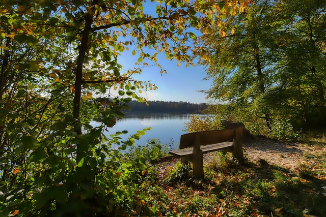 湖人屡屡错 湖人屡屡错