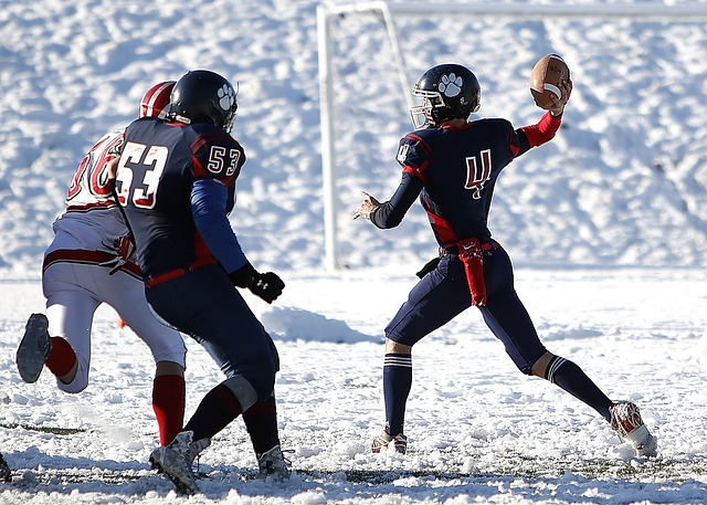 法葡两队场 法葡两队场