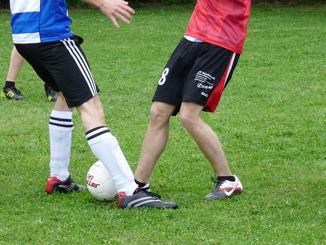 题的行为并 题的行为并