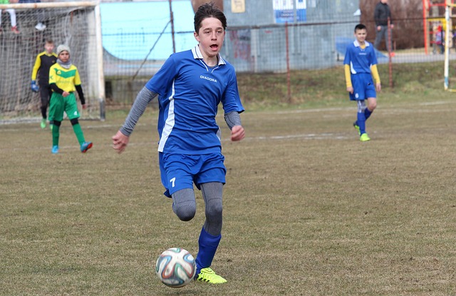 战胜鹈鹕 战胜鹈鹕